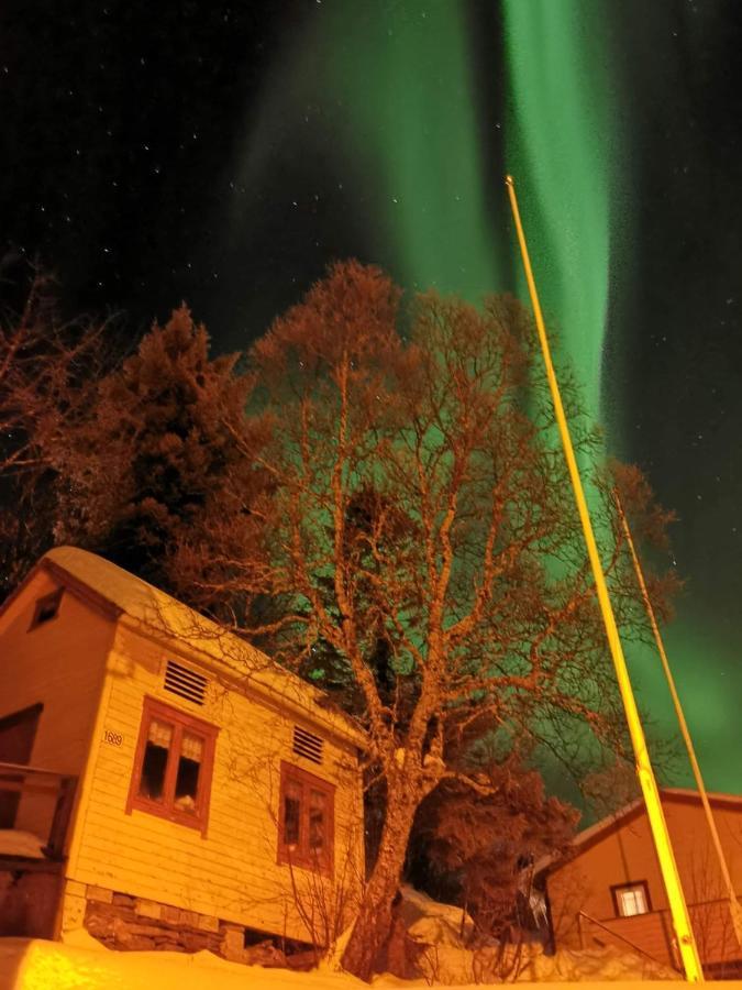 Willa Senja Skaland Melkarhola Zewnętrze zdjęcie